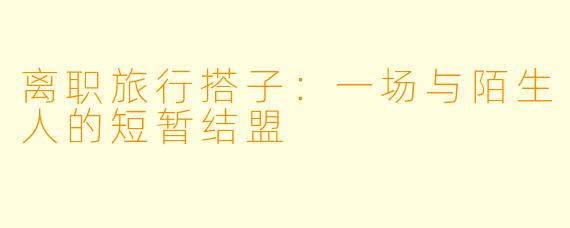 离职旅行搭子：一场与陌生人的短暂结盟