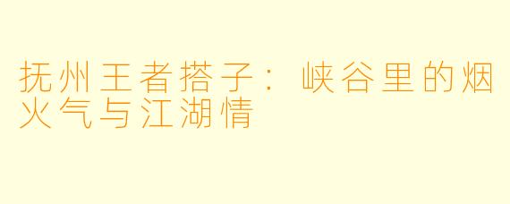 抚州王者搭子：峡谷里的烟火气与江湖情
