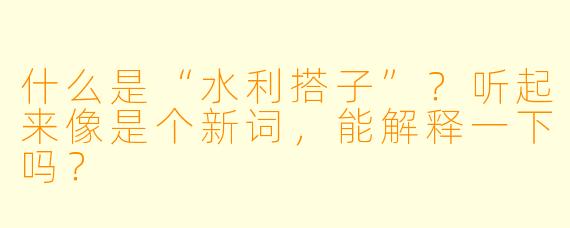 什么是“水利搭子”？听起来像是个新词，能解释一下吗？