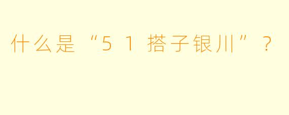 什么是“51搭子银川”？
