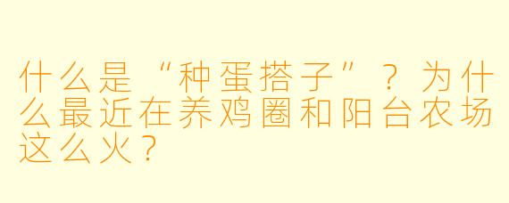 什么是“种蛋搭子”？为什么最近在养鸡圈和阳台农场这么火？