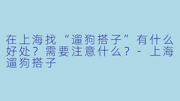 在上海找“遛狗搭子”有什么好处？需要注意什么？-上海遛狗搭子