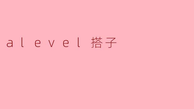 alevel搭子