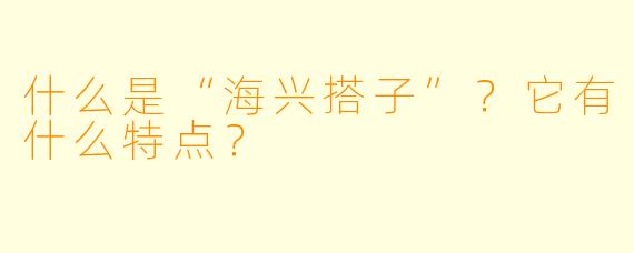 什么是“海兴搭子”？它有什么特点？
