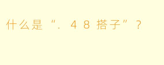 什么是“.48搭子”？