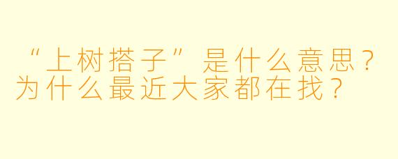 “上树搭子”是什么意思？为什么最近大家都在找？