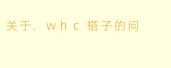关于.whc搭子的问