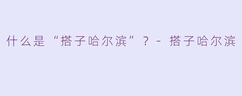 什么是“搭子哈尔滨”？
