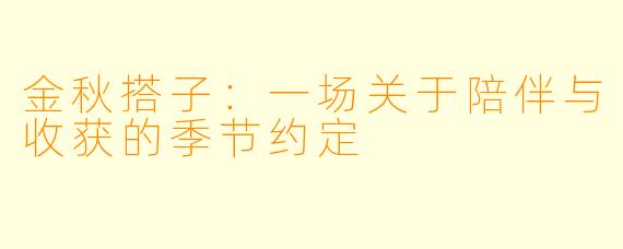 金秋搭子：一场关于陪伴与收获的季节约定