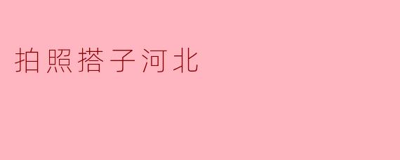 拍照搭子河北
