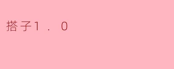 搭子1.0
