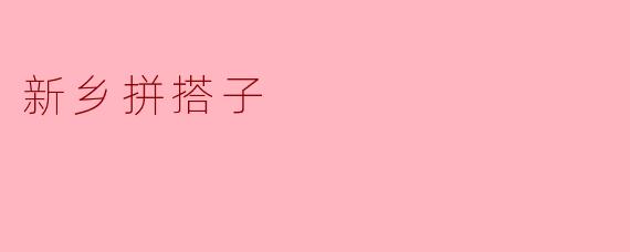 新乡拼搭子
