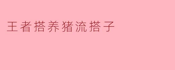 王者搭养猪流搭子