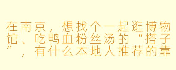 在南京,想找个一起逛博物馆、吃鸭血粉丝汤的“搭子”,有什么本地人推荐的靠谱渠道或暗号吗?