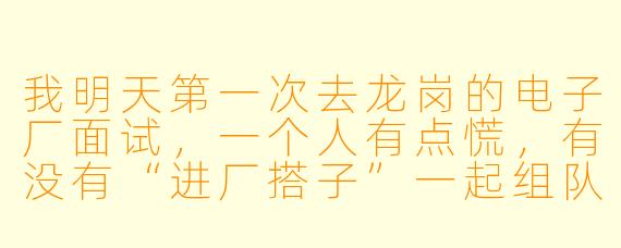 我明天第一次去龙岗的电子厂面试,一个人有点慌,有没有“进厂搭子”一起组队?主要想有人帮忙看看合同、认认路,中午还能一起拼饭。