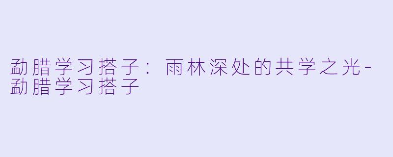 勐腊学习搭子：雨林深处的共学之光-勐腊学习搭子