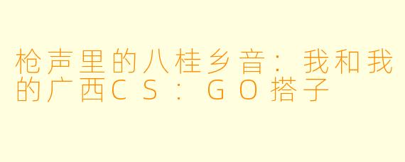 枪声里的八桂乡音：我和我的广西CS:GO搭子