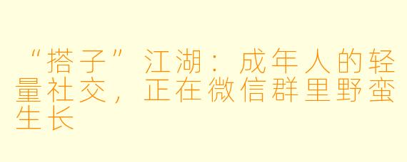 “搭子”江湖：成年人的轻量社交，正在微信群里野蛮生长