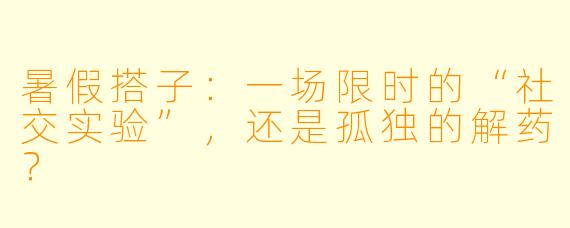 暑假搭子：一场限时的“社交实验”，还是孤独的解药？