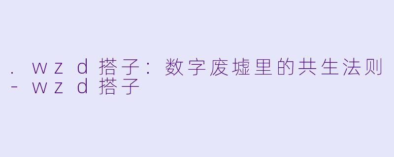 .wzd搭子:数字废墟里的共生法则-wzd搭子