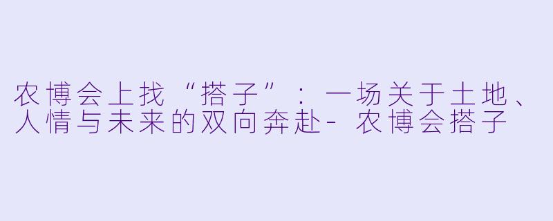 农博会上找“搭子”：一场关于土地、人情与未来的双向奔赴-农博会搭子