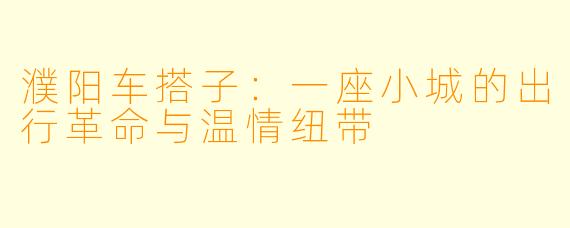 濮阳车搭子：一座小城的出行革命与温情纽带