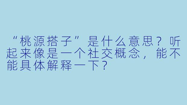 “桃源搭子”是什么意思？听起来像是一个社交概念，能不能具体解释一下？
