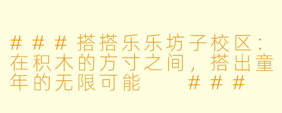 ###搭搭乐乐坊子校区：在积木的方寸之间，搭出童年的无限可能

###