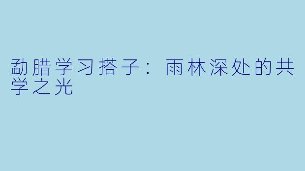 勐腊学习搭子：雨林深处的共学之光