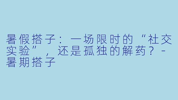 暑假搭子：一场限时的“社交实验”，还是孤独的解药？-暑期搭子