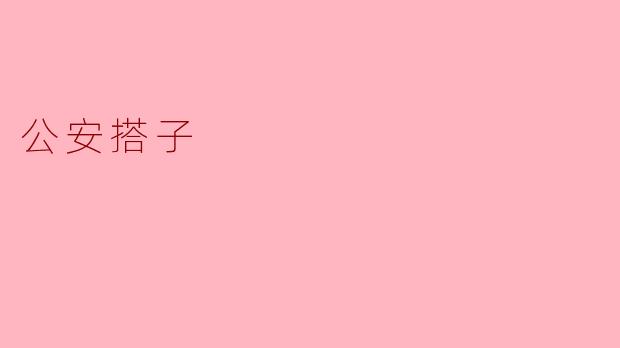 什么是“公安搭子”？