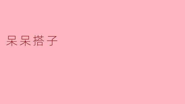呆呆搭子
