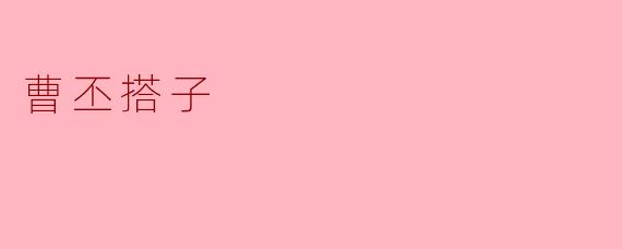 曹丕搭子
