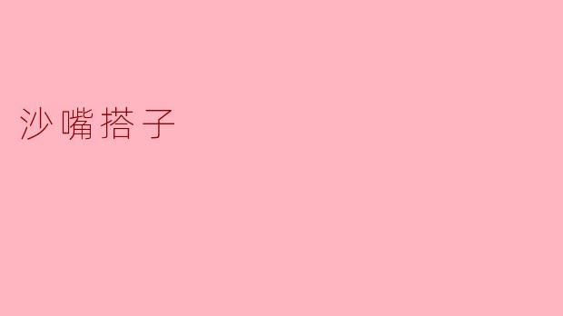 沙嘴搭子