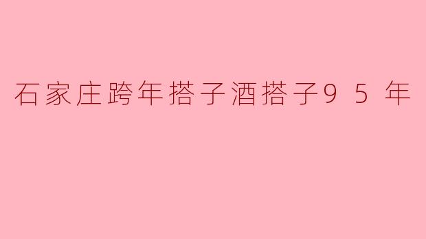 石家庄跨年搭子酒搭子95年