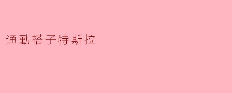 通勤搭子特斯拉